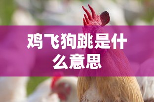 鸡飞狗跳是什么意思  第1张