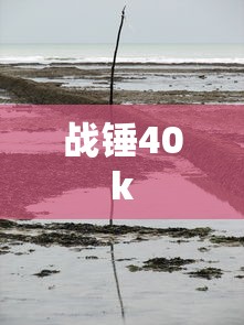 丰田普瑞维亚2025新款价格  第1张