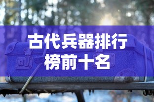 帕纳美纳落地价  第1张