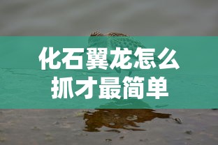 化石翼龙怎么抓才最简单  第1张