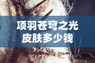 雪佛兰科帕奇销量怎样  第1张