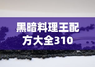 黑暗料理王配方大全310  第1张