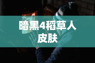 暗黑4稻草人皮肤  第1张