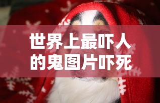 东风小康k07报价及图片  第1张