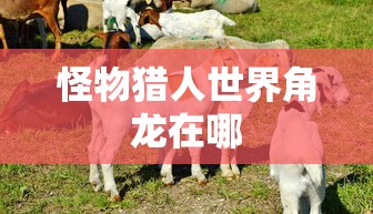 怪物猎人世界角龙在哪  第1张