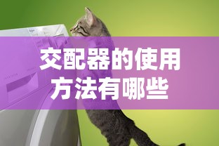 标准人日是什么意思  第1张