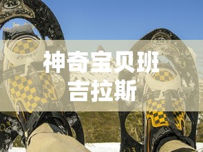 神奇宝贝班吉拉斯  第1张