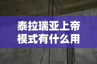 泰拉瑞亚上帝模式有什么用  第1张