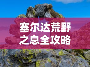 塞尔达荒野之息全攻略大象  第1张
