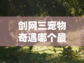剑网三宠物奇遇哪个最难出  第1张