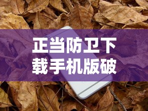 正当防卫下载手机版破解版  第1张