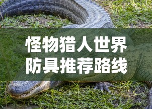 怪物猎人世界防具推荐路线  第1张