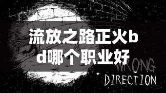 流放之路正火bd哪个职业好  第1张