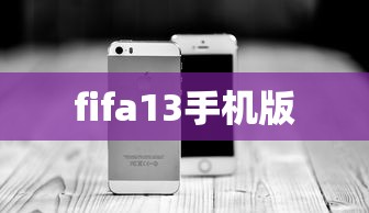 fifa13手机版  第1张
