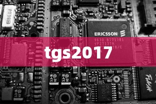 tgs2017  第1张