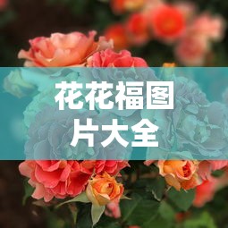 花花福图片大全  第1张