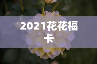 2021花花福卡  第1张