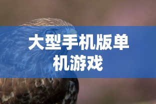 大型手机版单机游戏  第1张
