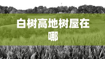 白树高地树屋在哪  第1张
