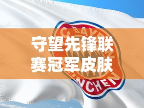 守望先锋联赛冠军皮肤  第1张