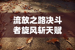 流放之路决斗者旋风斩天赋树  第1张