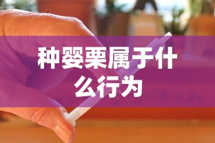 种婴栗属于什么行为  第1张
