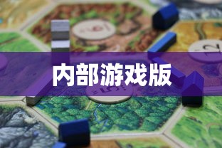 内部游戏版  第1张
