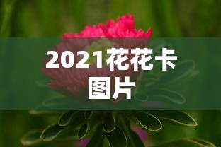 2021花花卡图片  第1张