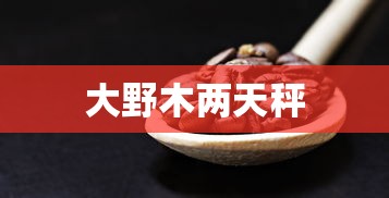 大野木两天秤  第1张