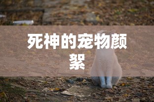 死神的宠物颜絮  第1张