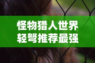 怪物猎人世界轻弩推荐最强轻弩列表  第1张