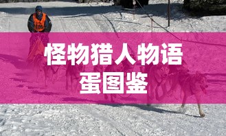考驾照不看书只刷题可以吗  第1张