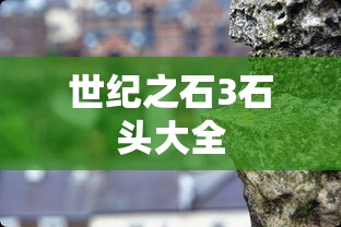 世纪之石3石头大全  第1张