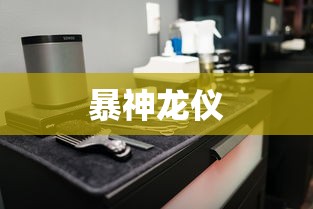 暴神龙仪  第1张