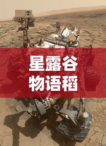 火影疾风坛吧  第1张