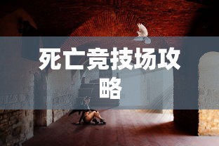 死亡竞技场攻略  第1张