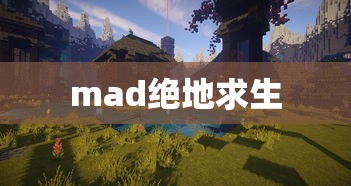 mad绝地求生  第1张