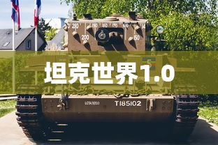 坦克世界1.0  第1张
