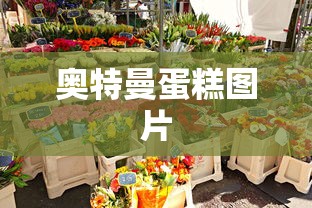 奥特曼蛋糕图片  第1张
