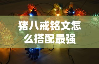 y酷会员  第1张