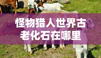 怪物猎人世界古老化石在哪里  第1张