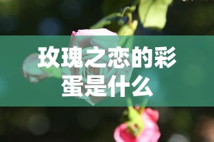 玫瑰之恋的彩蛋是什么  第1张