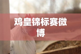 鸡皇锦标赛微博  第1张