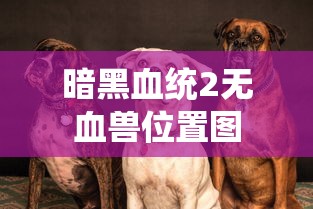 暗黑血统2无血兽位置图  第1张