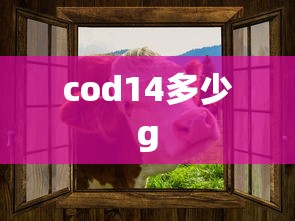 cod14多少g  第1张