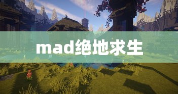 mad绝地求生  第1张