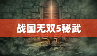 战国无双5秘武  第1张