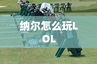 纳尔怎么玩LOL  第1张