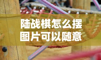 陆战棋怎么摆图片可以随意摆吗  第1张