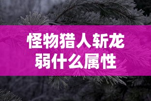 怪物猎人斩龙弱什么属性  第1张